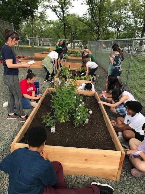 Community Learning Garden